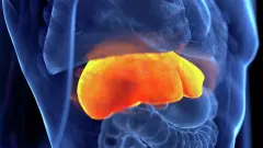 Bağırsakların 'Akıllı' Yakıtı: Soğutulmuş Patates ve Baklagillerle Dirençli Nişasta Mührü - Sağlık Haber