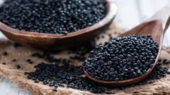 2026'nın Sarsıcı Süper Gıdası Belli Oldu: Siyah Mercimek, Yaban Mersinini Devasa Antioksidan Gücüyle Çıkmaz Sokağa İtti!