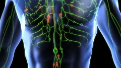 Vücudun Gizli Mineral Çağrısı: Magnezyum Eksikliği ve Bedensel Uyarı İşaretleri - Sağlık Haber